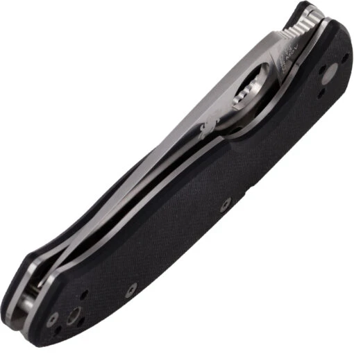 Spyderco C122GP Tenacious G-10 Black – Bild 4