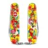 Victorinox 0.2373.E3 My First Victorinox Parrot Set -Messerladen 454599a2efe939054e5a78dd79f96806