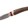 Muela 75mm Steinless Stahl Damaskus BW-6DAM -Messerladen 9f7e63697bb2e57e887282bf21c2e32f