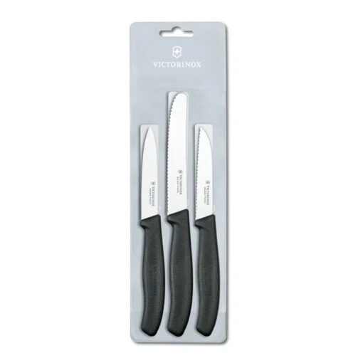 Victorinox 6.7113.3
