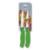 Victorinox 6.7936.12L4B Steakmesser 2St. Blister Grün