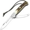 Puma IP313711 La Caza Stag II Griff Aus Hirschhorn -Messerladen cb62ea6e9ca7110f9950ad96c4714e81